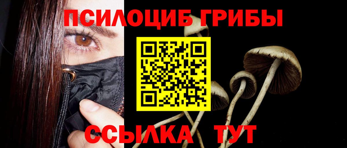 Псилоцибиновые грибы мухоморы Орехово-Зуево